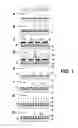 Fig. 02 - Method for producing biomolecule diagnostic devices