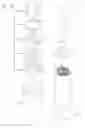 Fig. 04 - Lithium secondary battery