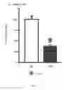 Fig. 05 - METHOD FOR ASSESSING HEART DISEASE