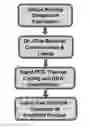 Fig. 01 - Label free detection of nucleic acid amplification