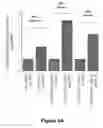 Fig. 04 - Label free detection of nucleic acid amplification
