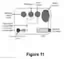 Fig. 11 - Label free detection of nucleic acid amplification