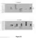 Fig. 29 - Label free detection of nucleic acid amplification