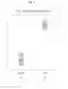 Fig. 03 - BIOMARKERS ASSOCIATED WITH NEPHROPATHY