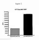 Fig. 02 - Novel Cell-Based Phosphodiesterase Assays