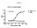 Fig. 06 - Novel Cell-Based Phosphodiesterase Assays