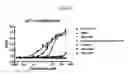 Fig. 07 - Novel Cell-Based Phosphodiesterase Assays
