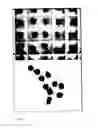 Fig. 08 - DEVICES AND METHODS FOR PRODUCTION OF CELL AGGREGATES