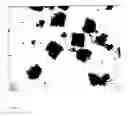 Fig. 13 - DEVICES AND METHODS FOR PRODUCTION OF CELL AGGREGATES