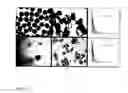 Fig. 23 - DEVICES AND METHODS FOR PRODUCTION OF CELL AGGREGATES