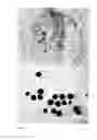 Fig. 25 - DEVICES AND METHODS FOR PRODUCTION OF CELL AGGREGATES