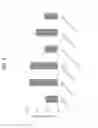 Fig. 06 - Method for evaluation of function of phagocyte