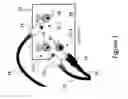 Fig. 02 - Cable and connector identifying tags