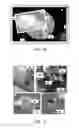 Fig. 10 - Method and system for providing a virtual presentation including a virtual companion and virtual photography