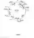 Fig. 07 - Transferrin fusion protein libraries
