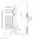 Fig. 08 - MULTIPLEX (+/-) STRANDED ARRAYS AND ASSAYS FOR DETECTING CHROMOSOMAL ABNORMALITIES ASSOCIATED WITH CANCER AND OTHER DISEASES
