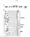 Fig. 08 - H-gated ion channel