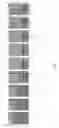 Fig. 02 - Air drilling misting fluid contains syrups