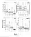 Fig. 06 - METHODS FOR PREDICTING THE DEVELOPMENT AND RESOLUTION OF ACUTE RESPIRATORY DISTRESS SYNDROME