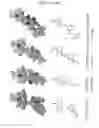 Fig. 09 - Transition state structure of 5′-methylthioadenosine/s-adenosylhomocysteine nucleosidases