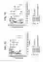 Fig. 09 - METHODS, COMPOSITIONS, AND KITS FOR TREATING PAIN AND PRURITUS