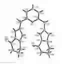 Fig. 01 - Metal complexes of N-heterocyclic carbenes