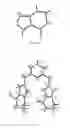Fig. 05 - Metal complexes of N-heterocyclic carbenes