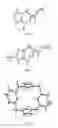 Fig. 06 - Metal complexes of N-heterocyclic carbenes