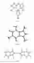 Fig. 10 - Metal complexes of N-heterocyclic carbenes