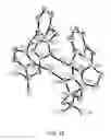 Fig. 13 - Metal complexes of N-heterocyclic carbenes