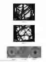 Fig. 15 - Metal complexes of N-heterocyclic carbenes