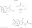 Fig. 08 - Method for treating cannabinoid receptor related diseases with cannabinoid receptor ligands