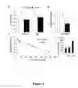 Fig. 05 - Compositions and methods for treating neurodegenerating diseases