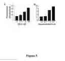 Fig. 06 - Compositions and methods for treating neurodegenerating diseases