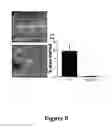 Fig. 09 - Compositions and methods for treating neurodegenerating diseases