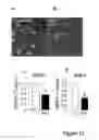 Fig. 13 - Compositions and methods for treating neurodegenerating diseases