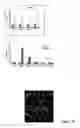 Fig. 16 - Compositions and methods for treating neurodegenerating diseases