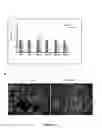 Fig. 17 - Compositions and methods for treating neurodegenerating diseases