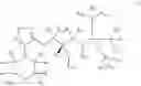Fig. 04 - THIADIAZOLE MODULATORS OF BETA ADRENERGIC RECEPTOR
