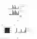 Fig. 03 - ANT-ligands molecules and biological applications