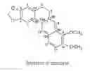 Fig. 01 - Berberine as a selective lung cancer agent and other compositions and methods