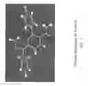 Fig. 08 - Solid Forms of 2-(2,4-Difluorophenyl)-6-(1-(2,6-Difluorophenyl)Ureido)Nicotinamide)