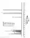 Fig. 32 - Solid Forms of 2-(2,4-Difluorophenyl)-6-(1-(2,6-Difluorophenyl)Ureido)Nicotinamide)