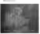Fig. 01 - Crystalline and Stable Form of Andolast