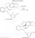 Fig. 08 - PHARMACEUTICAL COMPOSITIONS FOR ORAL ADMINISTRATION