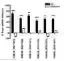 Fig. 01 - OLIGONUCLEOTIDES AFFECTING EXPRESSION OF PHOSPHODIESTERASES