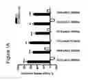 Fig. 02 - OLIGONUCLEOTIDES AFFECTING EXPRESSION OF PHOSPHODIESTERASES