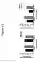 Fig. 03 - OLIGONUCLEOTIDES AFFECTING EXPRESSION OF PHOSPHODIESTERASES