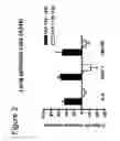 Fig. 04 - OLIGONUCLEOTIDES AFFECTING EXPRESSION OF PHOSPHODIESTERASES