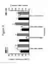 Fig. 05 - OLIGONUCLEOTIDES AFFECTING EXPRESSION OF PHOSPHODIESTERASES